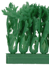 cg2.gif (26958 bytes)